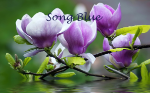 Song Blue